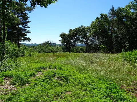 n4916 County Road N, Arkansaw, WI 54721