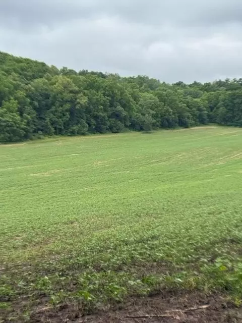 tbd Back Valley Rd, Pepin, WI 54759