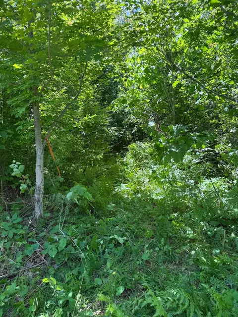 tbd 300th Ln, Mcgregor, MN 55760 photo 6