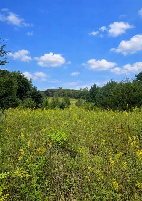 Nnnn Jeffrey Boulevard, Grant, MN 55082