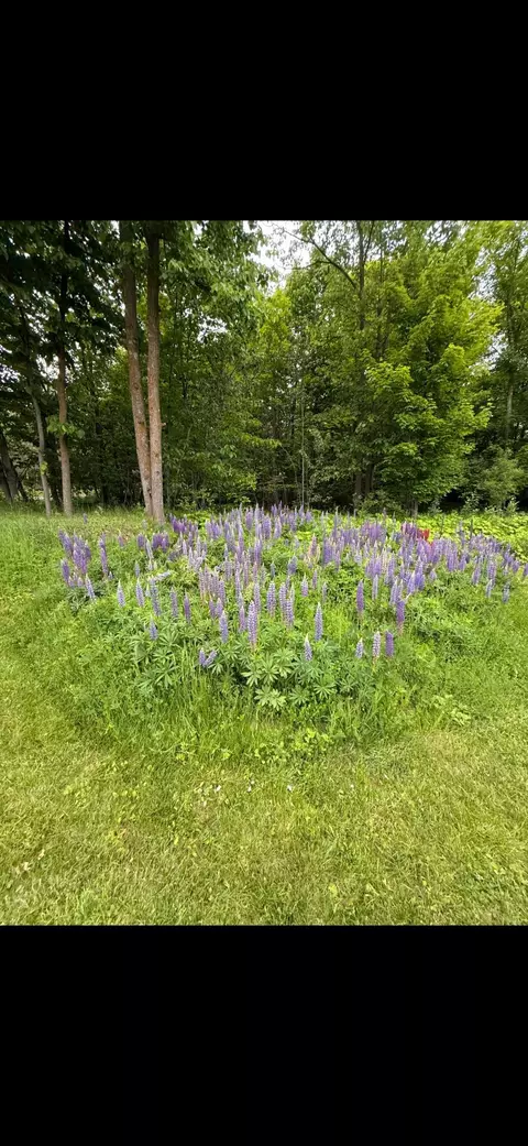 Other - 615 Snively Rd, Duluth, MN 55803 photo 11 of 12