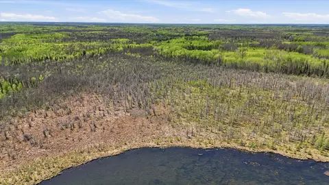 tbd Tbd Cedar Point Rd, Marcell, MN 56657 photo 13