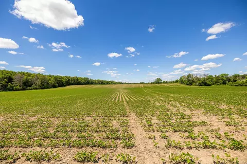 tbd Base Line Rd, Dundas, MN 55019 photo 7