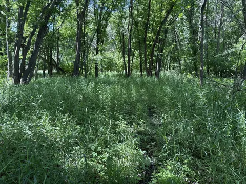 tbd Base Line Rd, Dundas, MN 55019 photo 19