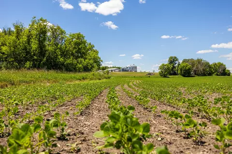 tbd Base Line Rd, Dundas, MN 55019 photo 50