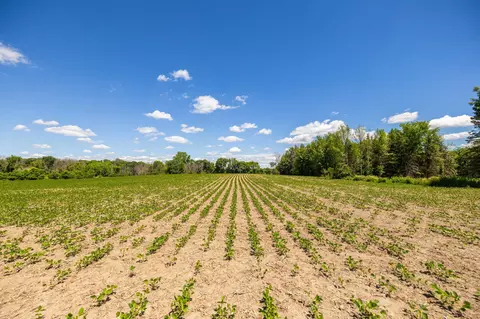 tbd Base Line Rd, Dundas, MN 55019 photo 13