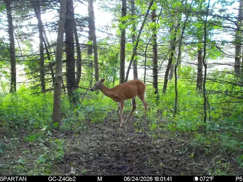 tbd Base Line Rd, Dundas, MN 55019 photo 22