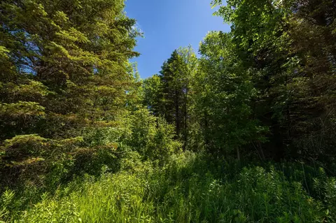 tbd Base Line Rd, Dundas, MN 55019 photo 46
