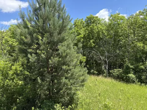 tbd Base Line Rd, Dundas, MN 55019 photo 17