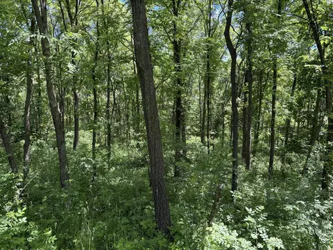 tbd Base Line Rd, Dundas, MN 55019 photo 21