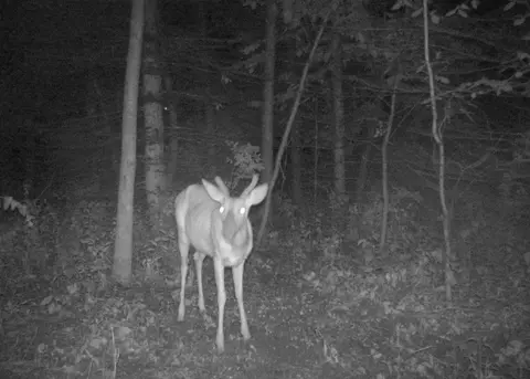 tbd Base Line Rd, Dundas, MN 55019 photo 33