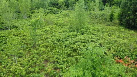 tbd Long Lk, Ottertail, MN 56571 photo 12