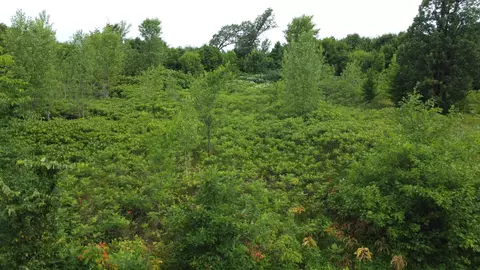 tbd Long Lk, Ottertail, MN 56571 photo 6