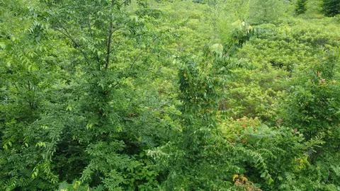 tbd Long Lk, Ottertail, MN 56571 photo 13