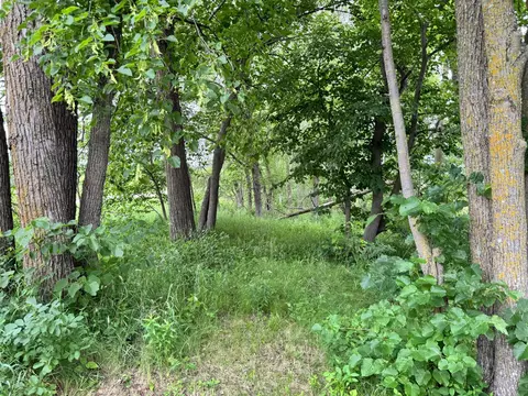 X Leaf River Road, Ottertail, MN 56571 photo 19