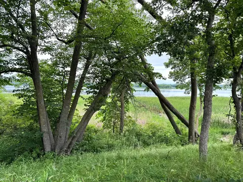 X Leaf River Road, Ottertail, MN 56571 photo 18