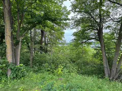 X Leaf River Road, Ottertail, MN 56571 photo 17