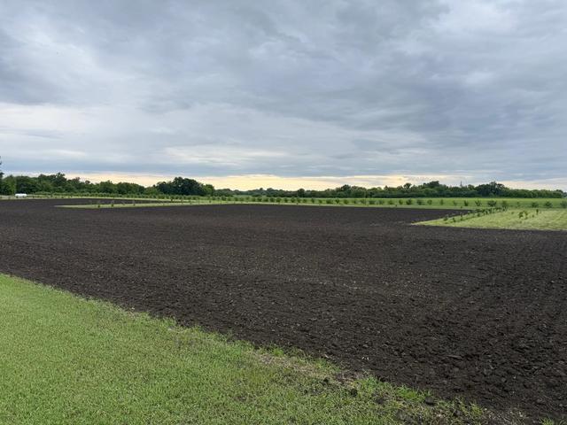 tbd County Road 15, Minto, ND 58261