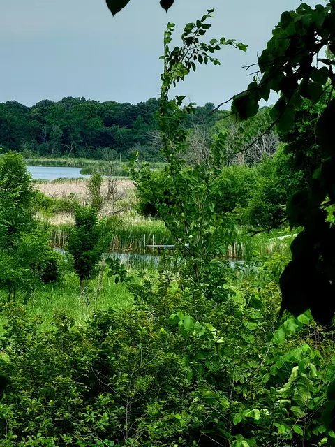 View/Area - 40130 460th Ave, Perham, MN 56573 photo 4 of 7