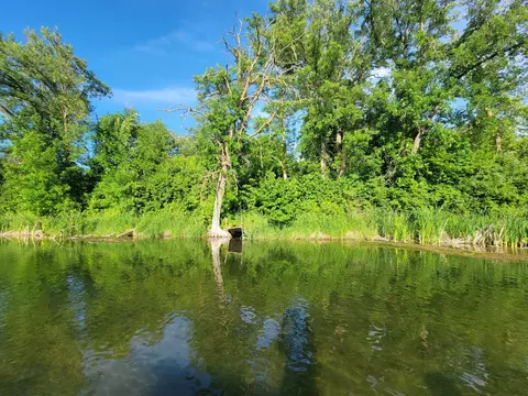 View/Area - 40130 460th Ave, Perham, MN 56573 photo 1 of 7