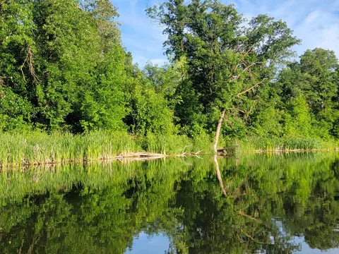 View/Area - 40130 460th Ave, Perham, MN 56573 photo 3 of 7