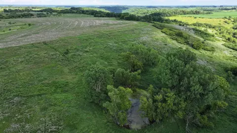 tbd Dunn Rd, Caledonia, MN 55921 photo 15
