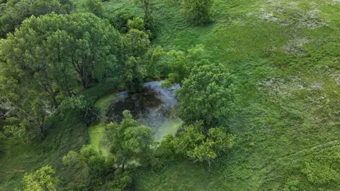 tbd Dunn Rd, Caledonia, MN 55921 photo 12