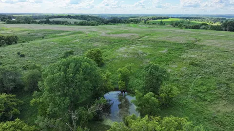 tbd Dunn Rd, Caledonia, MN 55921 photo 14