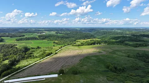 tbd Dunn Rd, Caledonia, MN 55921 photo 7