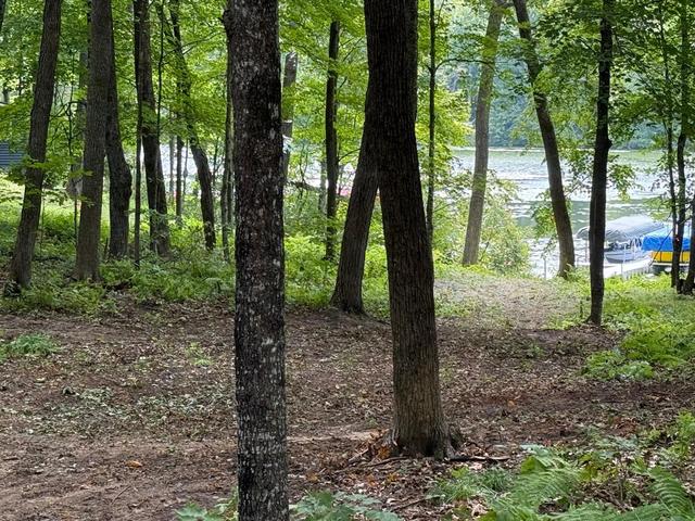 w2371 Blackhawk Road, Sarona, WI 54870
