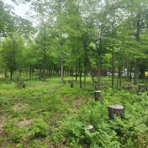 tbd 186th Ave, Mcgregor, MN 55760 photo 3