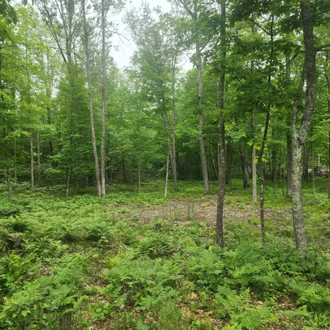 tbd 186th Ave, Mcgregor, MN 55760 photo 2