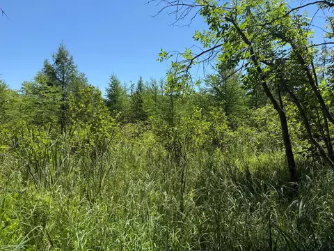 tbd _3 Clearwater Point Rd, Brainerd, MN 56401 photo 16
