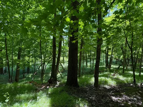tbd _3 Clearwater Point Rd, Brainerd, MN 56401 photo 9