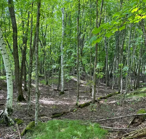 tbd _3 Clearwater Point Rd, Brainerd, MN 56401 photo 7