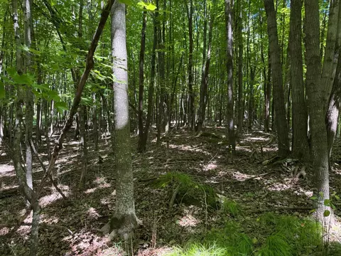 tbd _3 Clearwater Point Rd, Brainerd, MN 56401 photo 8