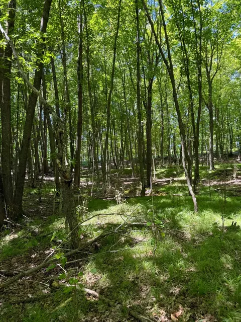 tbd _4 Clearwater Point Rd, Brainerd, MN 56401 photo 21