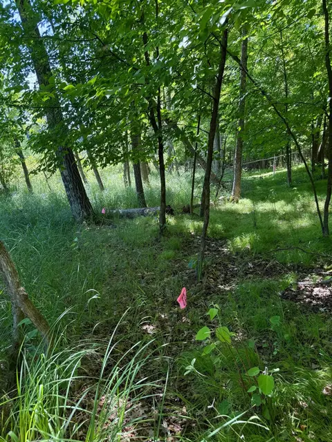 tbd _4 Clearwater Point Rd, Brainerd, MN 56401 photo 19