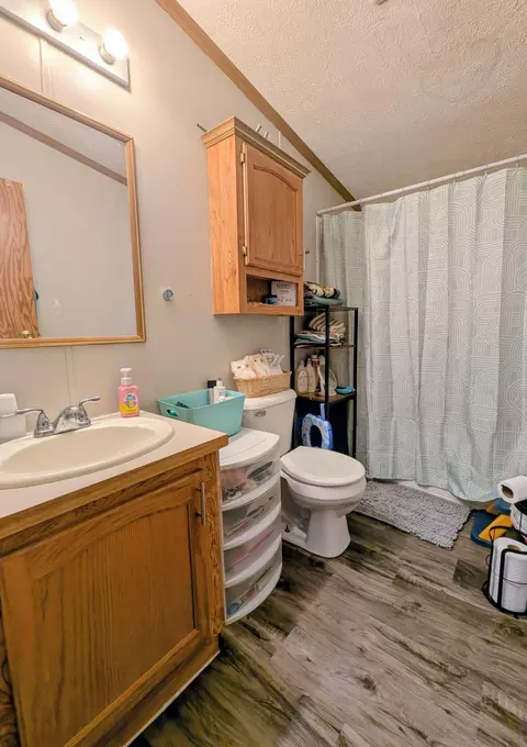 Bath - 21165 Eagle Dr, Osakis, MN 56360 photo 4 of 4