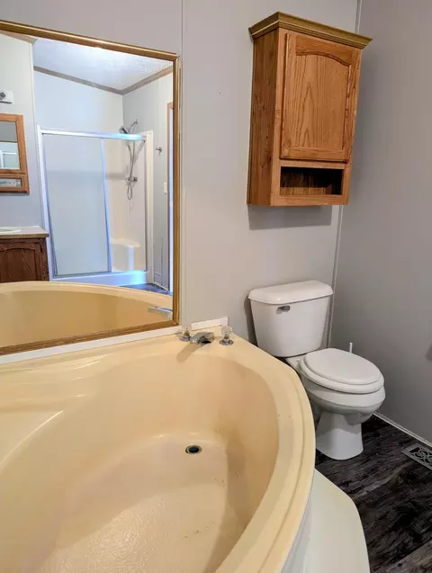 Bath - 21165 Eagle Dr, Osakis, MN 56360 photo 3 of 4