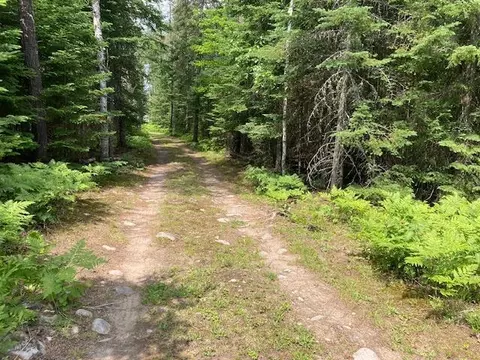 11919 Luna Lake Rd, Lake, MN 55781