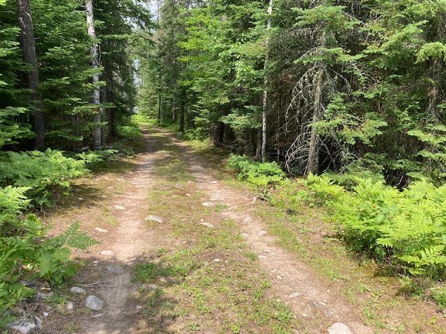 11919 Luna Lake Rd, Lake, MN 55781