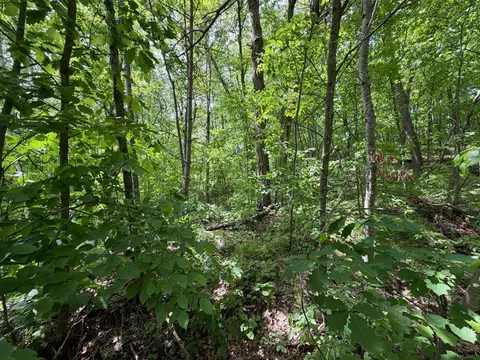 tbd Hickory Ln, Garrison, MN 56450 photo 10