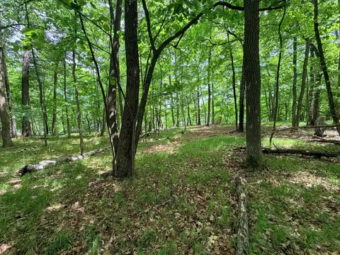 tbd Buxton Rd NW, Hackensack, MN 56452 photo 3