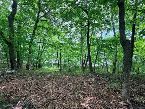 tbd Buxton Rd NW, Hackensack, MN 56452 photo 5