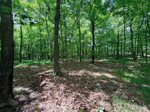 tbd Buxton Rd NW, Hackensack, MN 56452 photo 7