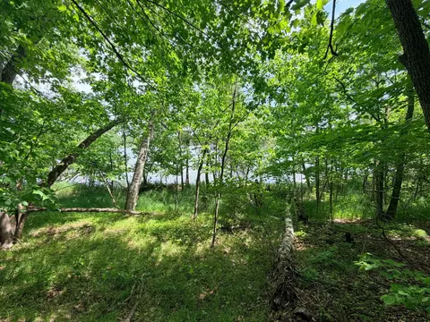 tbd Buxton Rd NW, Hackensack, MN 56452 photo 4