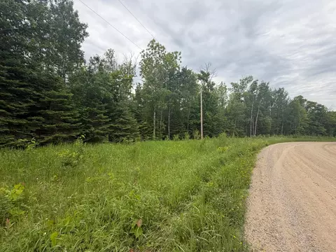 lot2 S Gull Lake Rd SW, Tenstrike, MN 56647