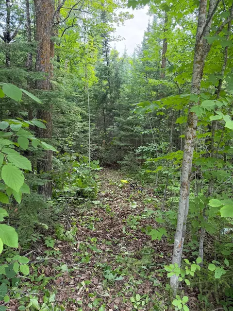 lot2 S Gull Lake Rd SW, Tenstrike, MN 56647