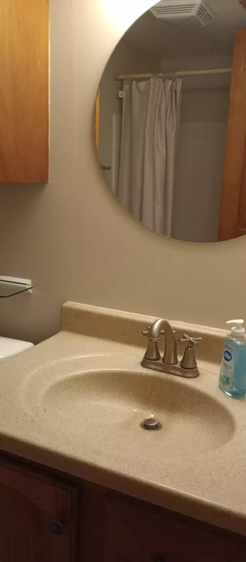 Bath - 18091 Earle Brown Dr #E1, Garrison, MN 56450 photo 3 of 3